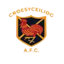 Croesyceiliog