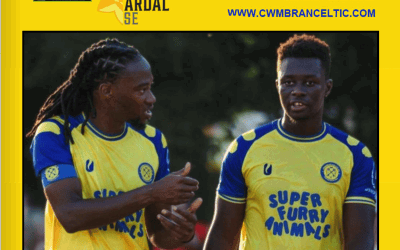 Cwmbran Celtic Vs New Inn